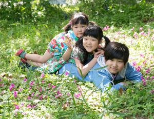 緑の中で三兄弟の写真